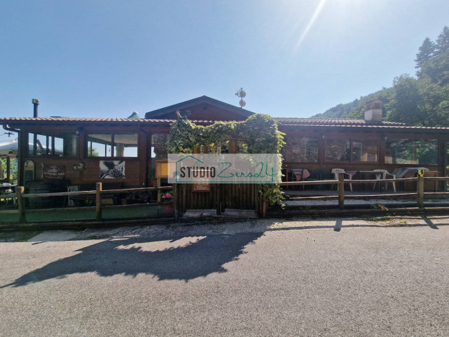 Attività commerciale in vendita a Camaiore