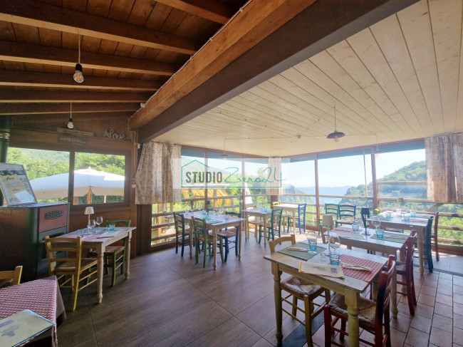 Locale commerciale in vendita a Camaiore