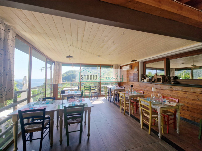 Locale commerciale in vendita a Camaiore