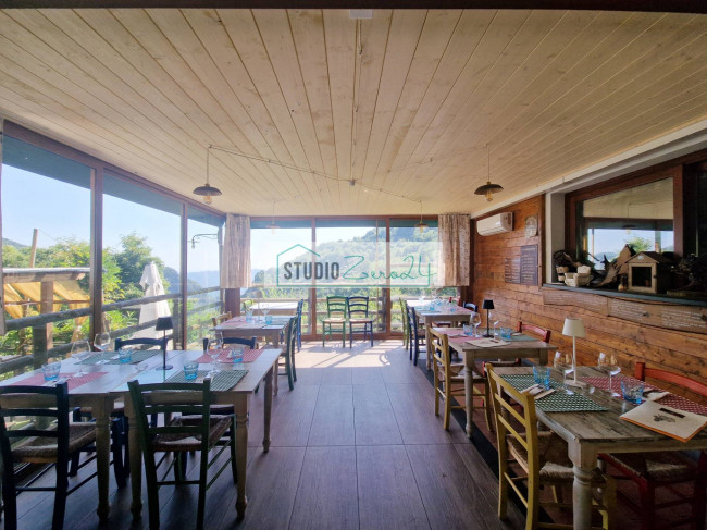 Locale commerciale in vendita a Camaiore