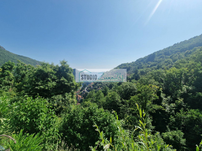 Attività commerciale in vendita a Camaiore