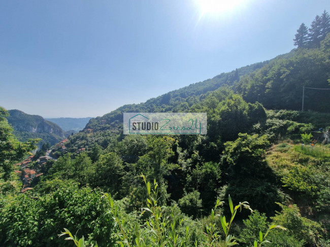 Attività commerciale in vendita a Camaiore