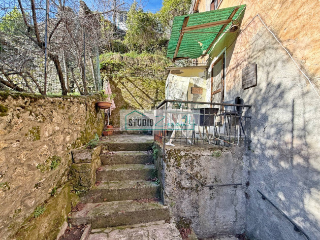 Cielo Terra in vendita a Camaiore