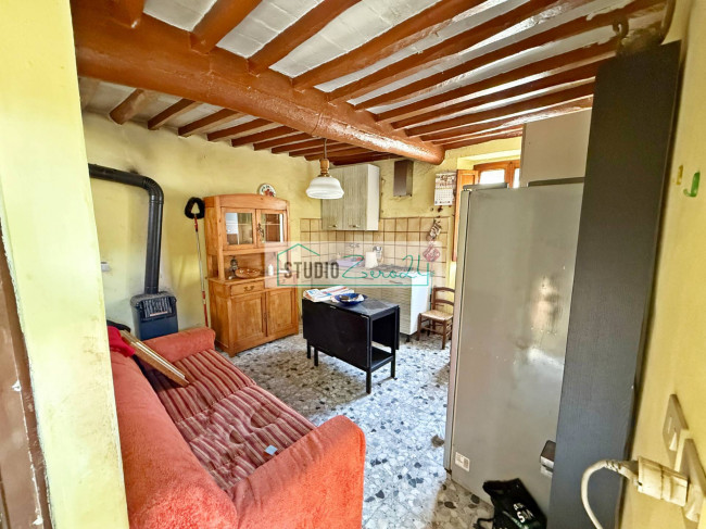 Cielo Terra in vendita a Camaiore