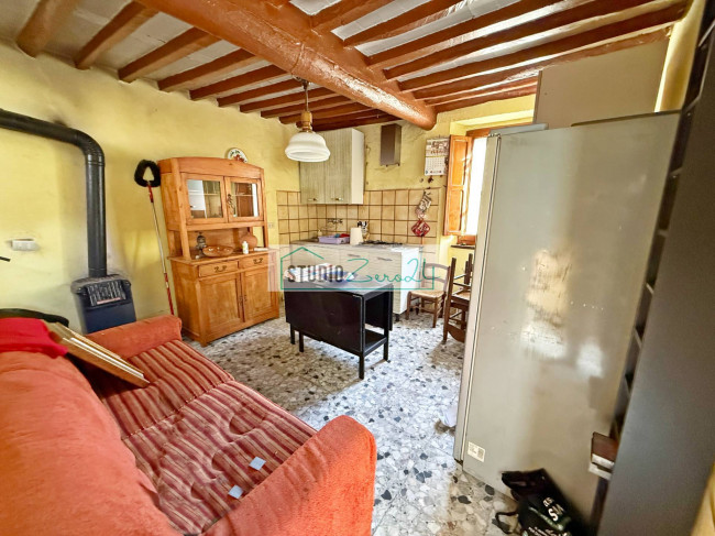 Cielo Terra in vendita a Camaiore