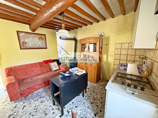 Cielo Terra in vendita a Camaiore