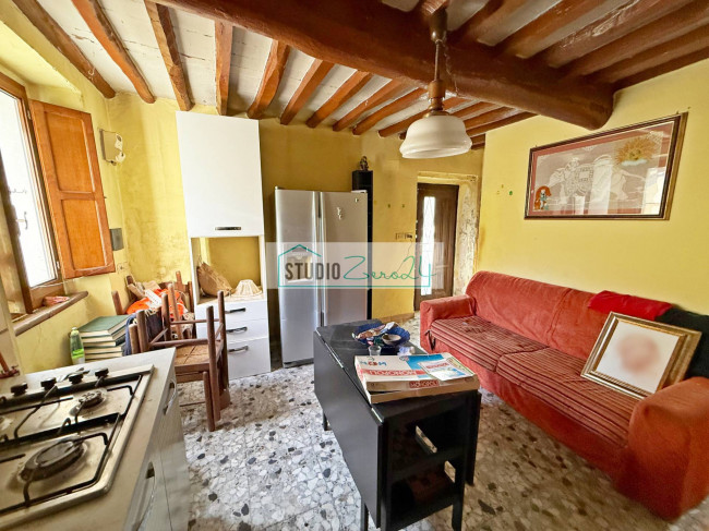 Cielo Terra in vendita a Camaiore