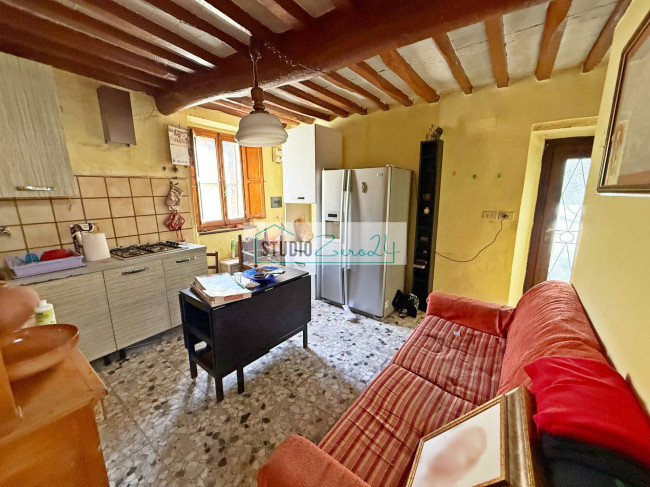 Cielo Terra in vendita a Camaiore