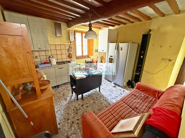 Cielo Terra in vendita a Camaiore