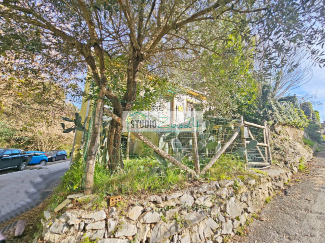 Casa singola in vendita a Massarosa