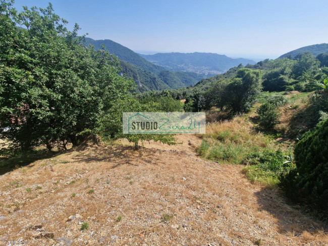 Casa singola in vendita a Camaiore