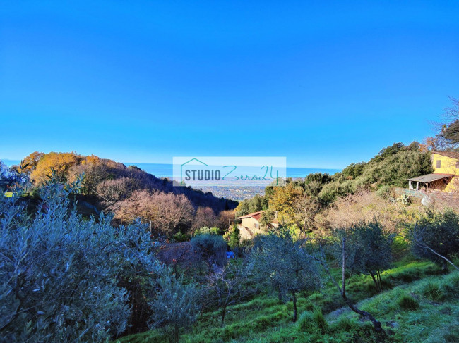 Casa singola in vendita a Pietrasanta
