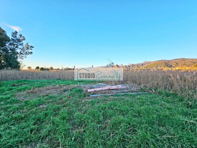 Terreno Agricolo in vendita a Massarosa