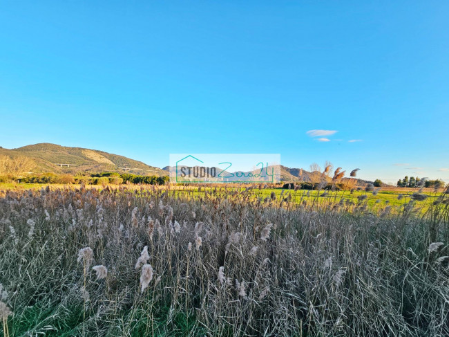 Terreno Agricolo in vendita a Massarosa