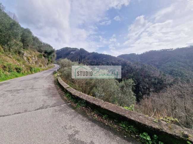 Terreno Agricolo in vendita a Camaiore