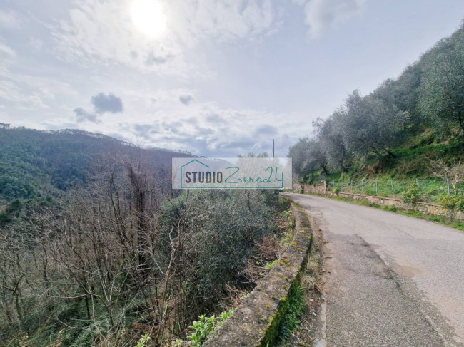 Terreno Agricolo in vendita a Camaiore