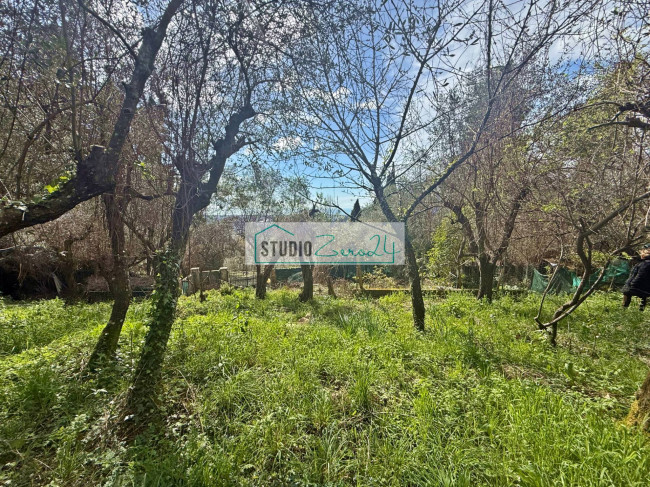 Terreno edificabile in vendita a Massarosa