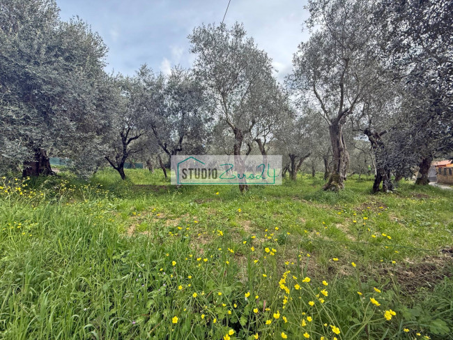 Terreno edificabile in vendita a Massarosa