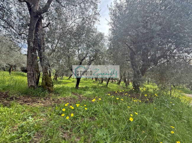 Terreno edificabile in vendita a Massarosa