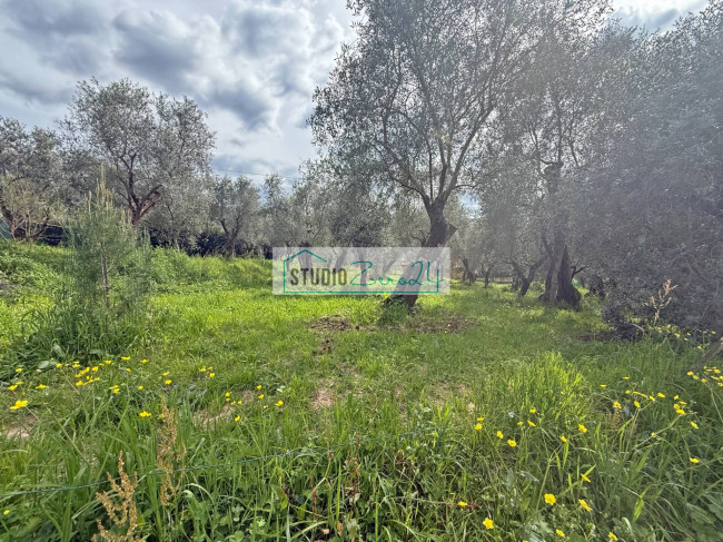 Terreno edificabile in vendita a Massarosa
