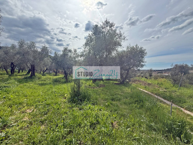 Terreno edificabile in vendita a Massarosa