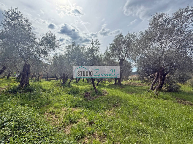 Terreno edificabile in vendita a Massarosa