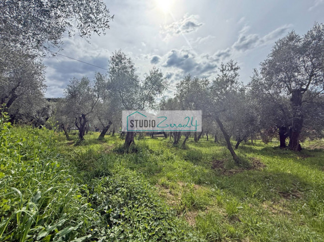Terreno edificabile in vendita a Massarosa