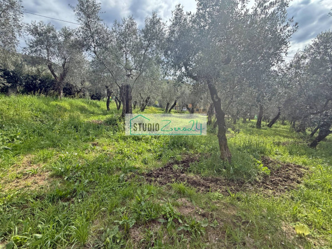 Terreno edificabile in vendita a Massarosa