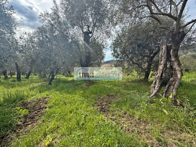 Terreno edificabile in vendita a Massarosa