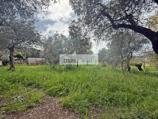 Terreno edificabile in vendita a Massarosa