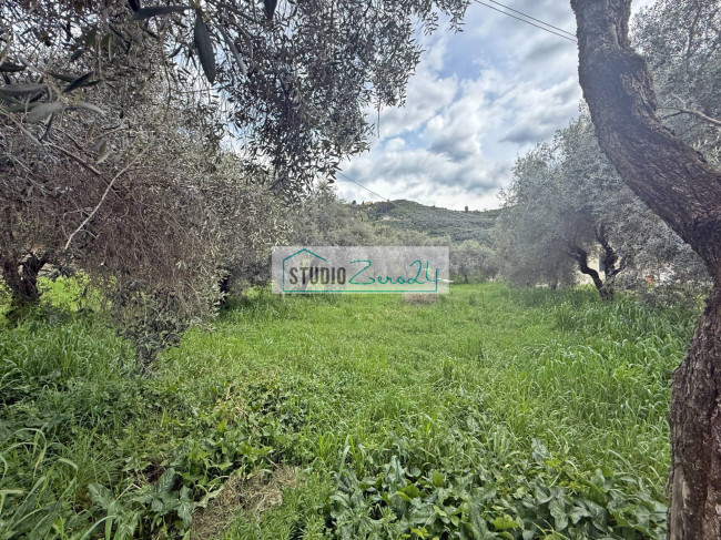 Terreno edificabile in vendita a Massarosa