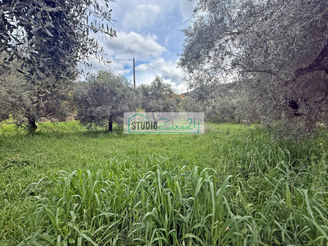 Terreno edificabile in vendita a Massarosa