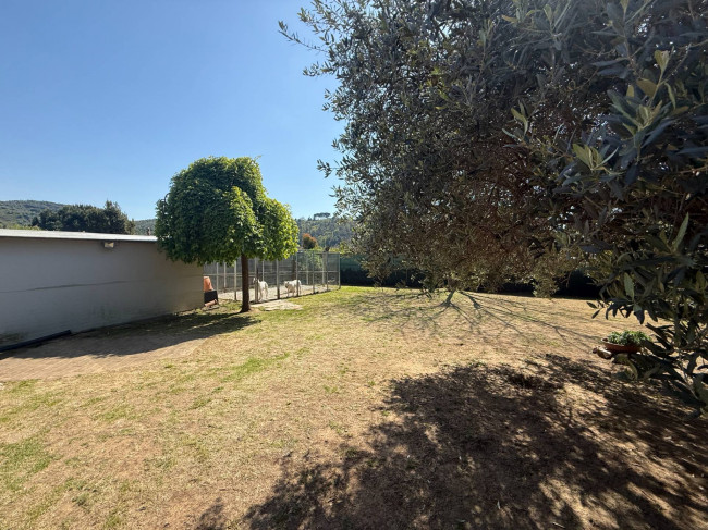 Casa singola in vendita a Massarosa