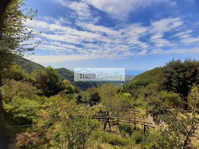 Cielo Terra in vendita a Stazzema