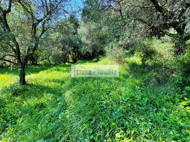 Rustico in vendita a Pietrasanta