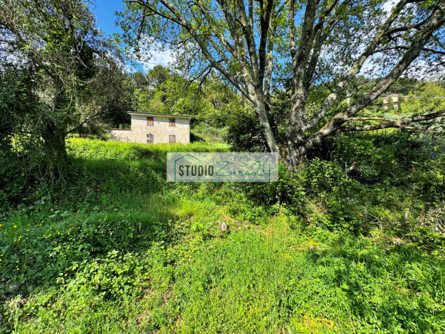 Rustico in vendita a Pietrasanta