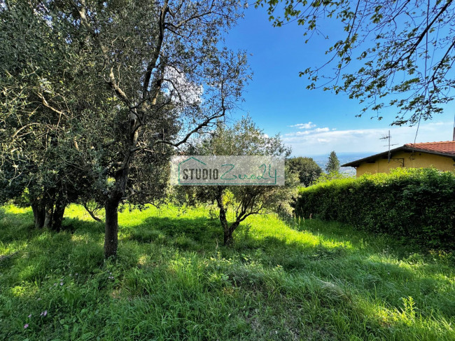 Rustico in vendita a Pietrasanta