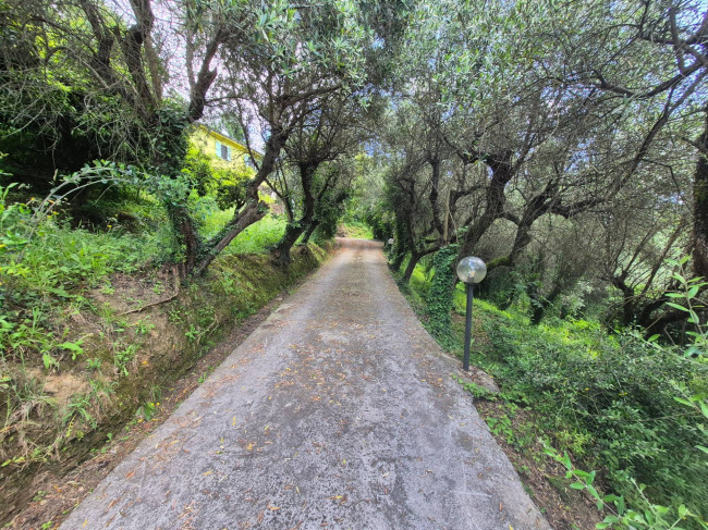 Villa in vendita a Camaiore