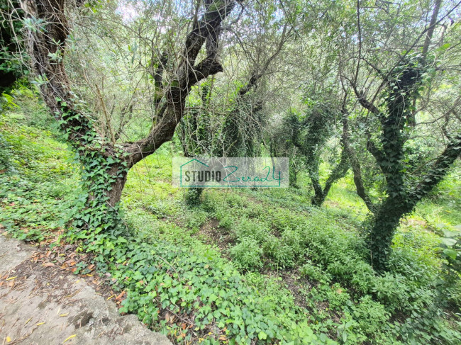 Villa in vendita a Camaiore