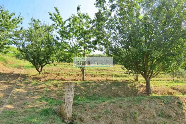 Villetta Bifamiliare in vendita a Pietrasanta