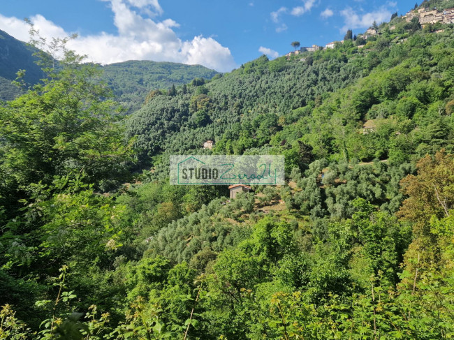 Villa in vendita a Camaiore