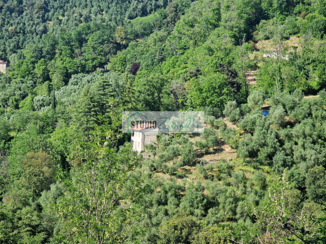 Villa in vendita a Camaiore