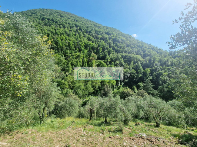 Villa in vendita a Camaiore