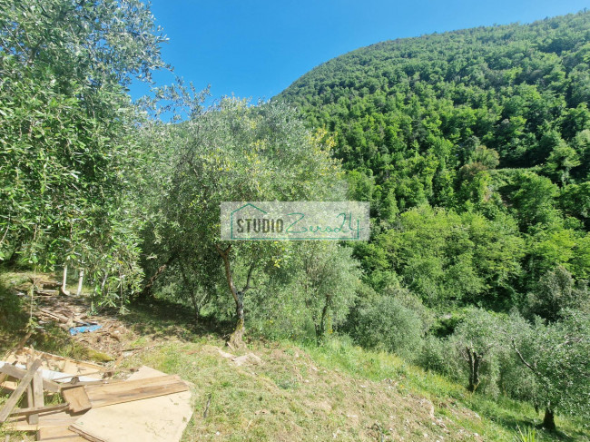 Villa in vendita a Camaiore