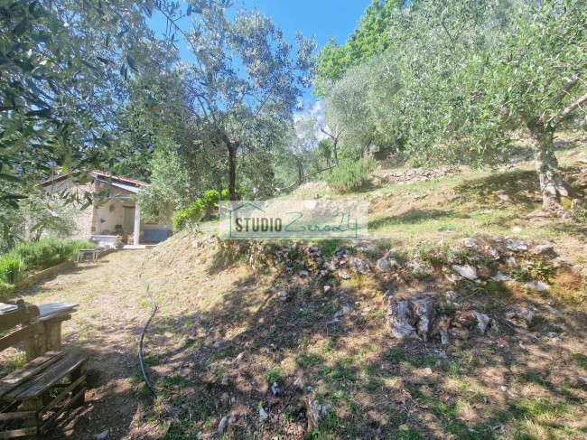 Villa in vendita a Camaiore