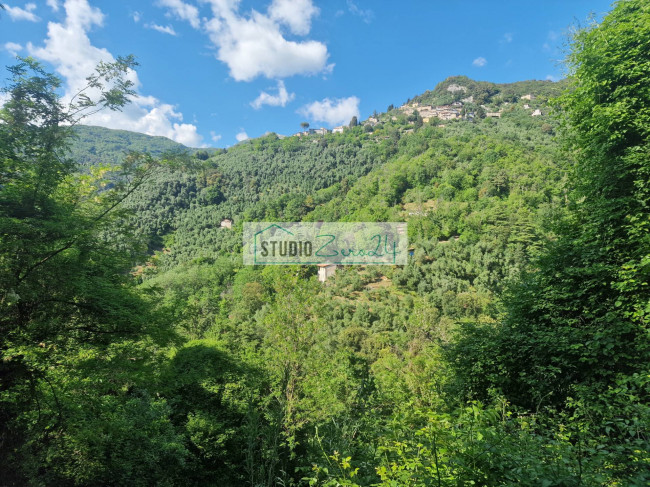 Villa in vendita a Camaiore