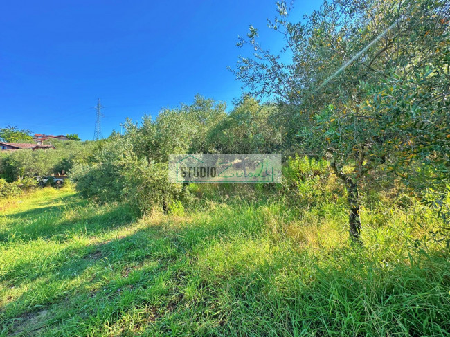 Terreno edificabile in vendita a Massarosa
