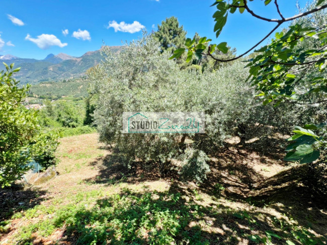 Terreno edificabile in vendita a Camaiore