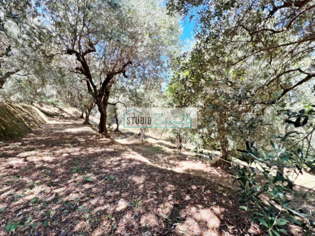 Terreno edificabile in vendita a Camaiore