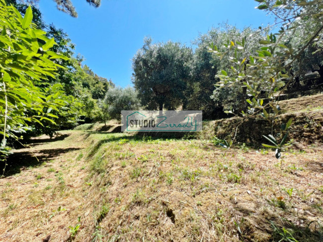 Terreno edificabile in vendita a Camaiore